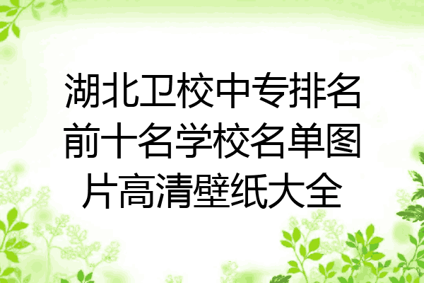 湖北卫校中专排名前十名学校名单图片高清壁纸大全
