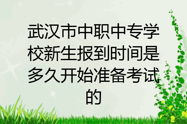 武汉市中职中专学校新生报到时间是多久开始准备考试的