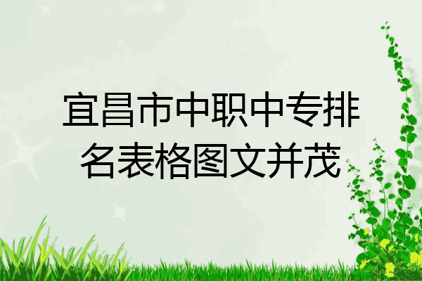 宜昌市中职中专排名表格图文并茂
