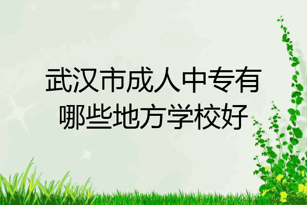 武汉市成人中专有哪些地方学校好