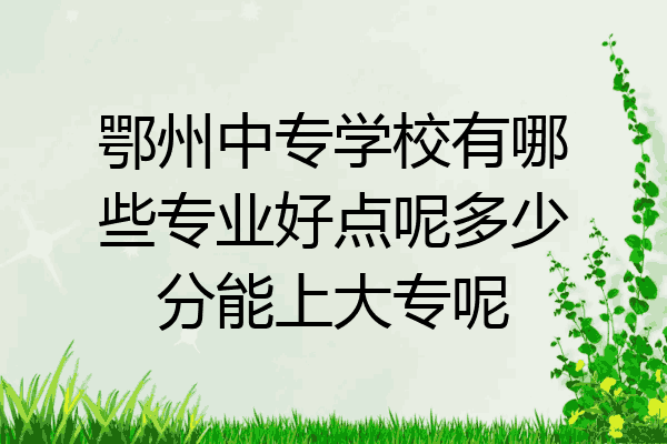 鄂州中专学校有哪些专业好点呢多少分能上大专呢