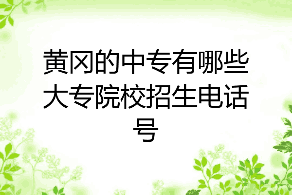 黄冈的中专有哪些大专院校招生电话号