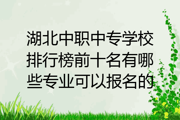 湖北中职中专学校排行榜前十名有哪些专业可以报名的