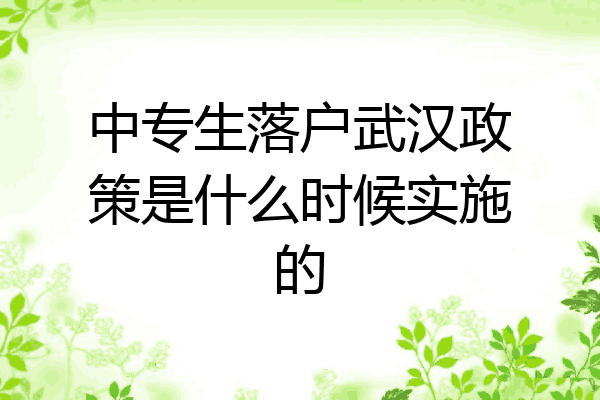 中专生落户武汉政策是什么时候实施的