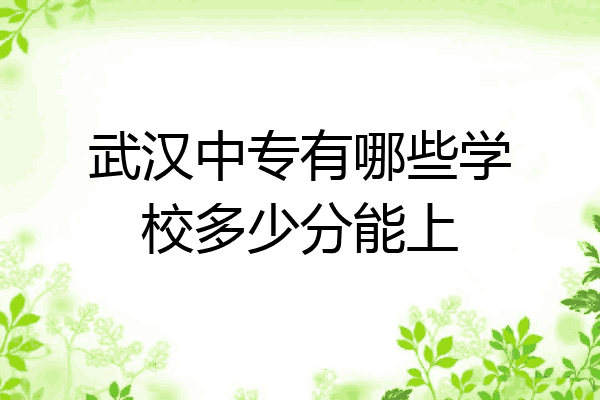 武汉中专有哪些学校多少分能上
