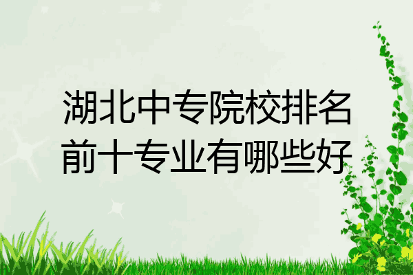 湖北中专院校排名前十专业有哪些好