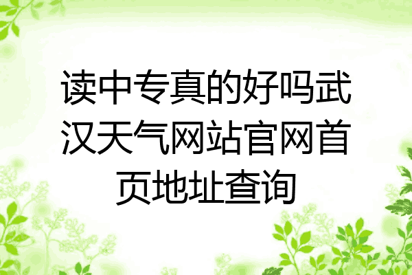 读中专真的好吗武汉天气网站官网首页地址查询