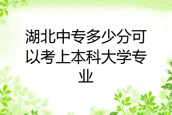 湖北中专多少分可以考上本科大学专业