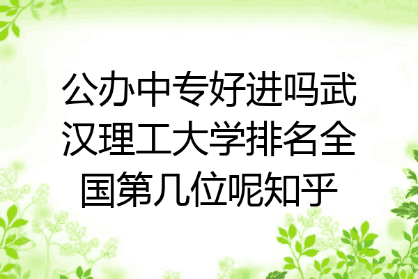 公办中专好进吗武汉理工大学排名全国第几位呢知乎