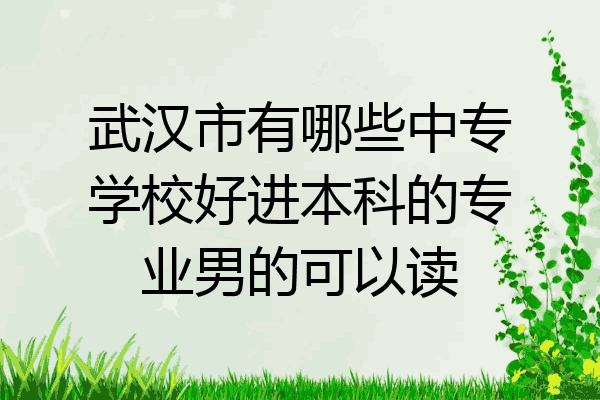 武汉市有哪些中专学校好进本科的专业男的可以读