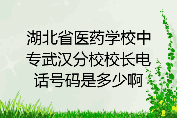 湖北省医药学校中专武汉分校校长电话号码是多少啊