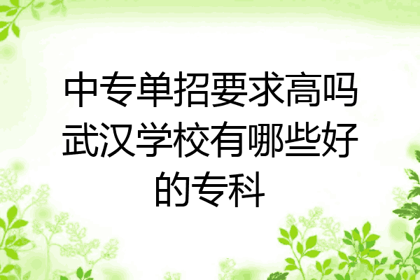 中专单招要求高吗武汉学校有哪些好的专科