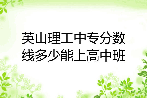 英山理工中专分数线多少能上高中班