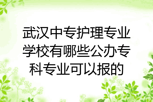 武汉中专护理专业学校有哪些公办专科专业可以报的