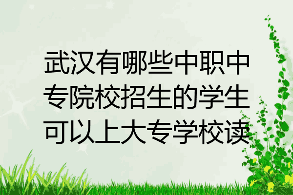 武汉有哪些中职中专院校招生的学生可以上大专学校读