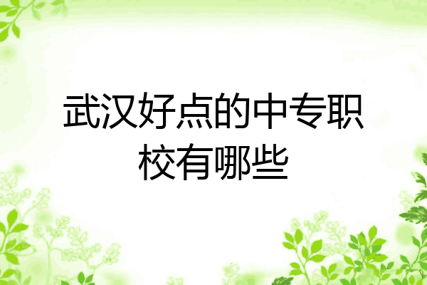 武汉好点的中专职校有哪些