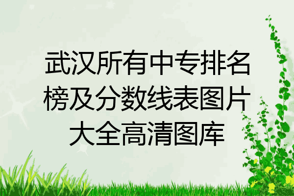 武汉所有中专排名榜及分数线表图片大全高清图库