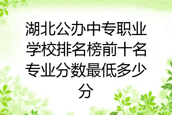 湖北公办中专职业学校排名榜前十名专业分数最低多少分