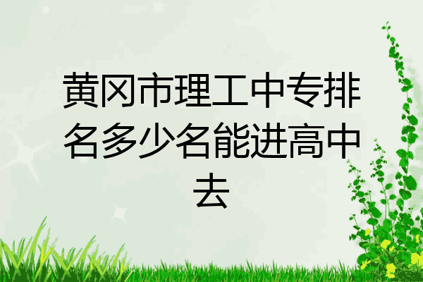 黄冈市理工中专排名多少名能进高中去
