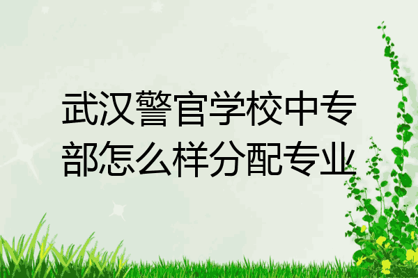 武汉警官学校中专部怎么样分配专业