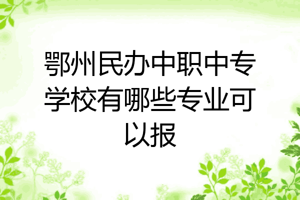 鄂州民办中职中专学校有哪些专业可以报