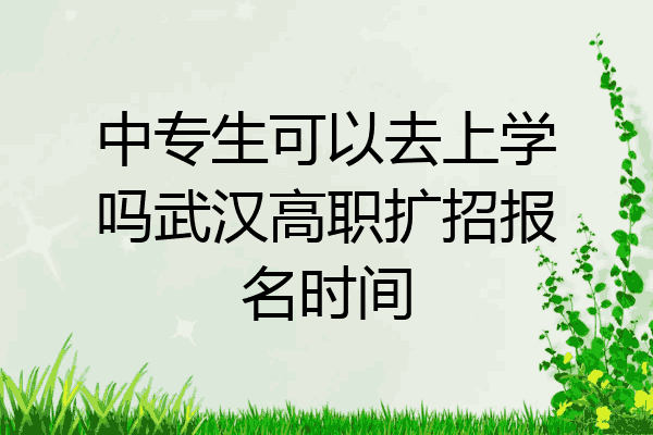 中专生可以去上学吗武汉高职扩招报名时间