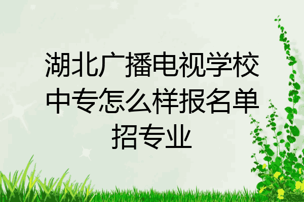 湖北广播电视学校中专怎么样报名单招专业