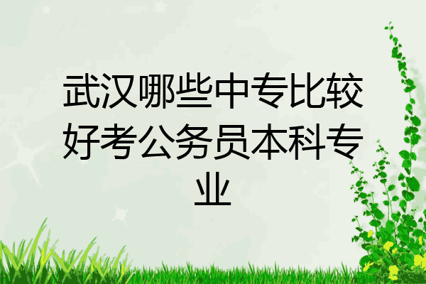武汉哪些中专比较好考公务员本科专业