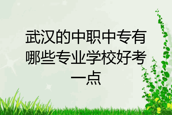 武汉的中职中专有哪些专业学校好考一点