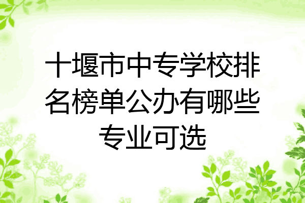 十堰市中专学校排名榜单公办有哪些专业可选
