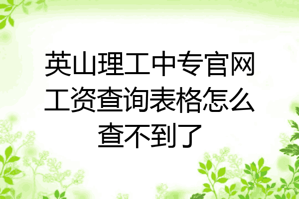 英山理工中专官网工资查询表格怎么查不到了