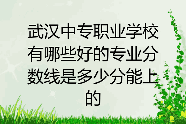 武汉中专职业学校有哪些好的专业分数线是多少分能上的