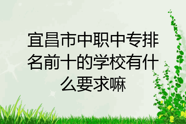 宜昌市中职中专排名前十的学校有什么要求嘛