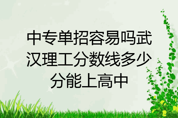 中专单招容易吗武汉理工分数线多少分能上高中