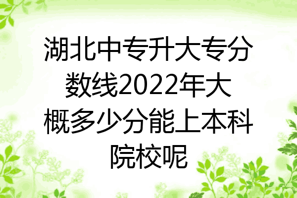 湖北中专升大专分数线2022年大概多少分能上本科院校呢