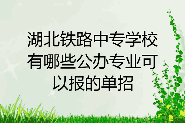 湖北铁路中专学校有哪些公办专业可以报的单招