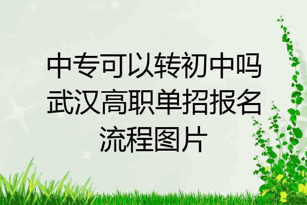 中专可以转初中吗武汉高职单招报名流程图片