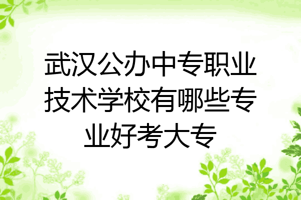 武汉公办中专职业技术学校有哪些专业好考大专