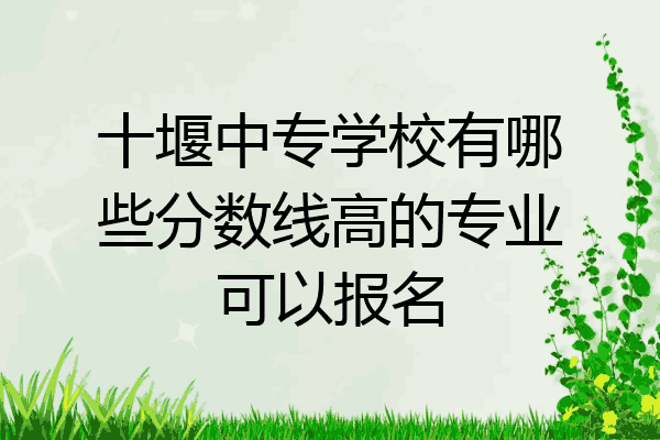 十堰中专学校有哪些分数线高的专业可以报名