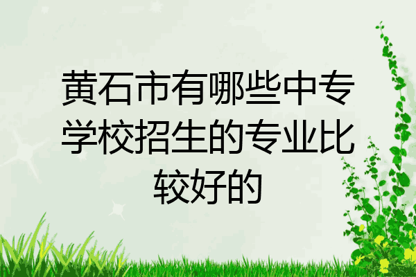 黄石市有哪些中专学校招生的专业比较好的