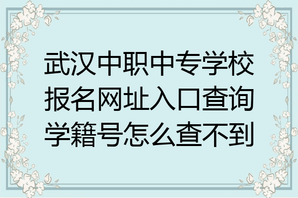 武汉中职中专学校报名网址入口查询学籍号怎么查不到