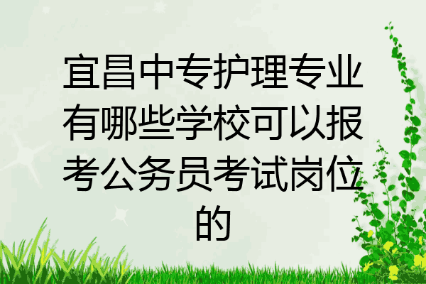 宜昌中专护理专业有哪些学校可以报考公务员考试岗位的