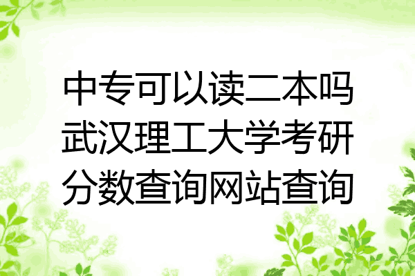 中专可以读二本吗武汉理工大学考研分数查询网站查询