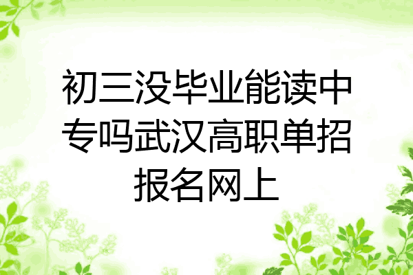 初三没毕业能读中专吗武汉高职单招报名网上