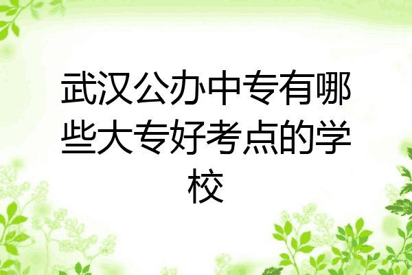 武汉公办中专有哪些大专好考点的学校