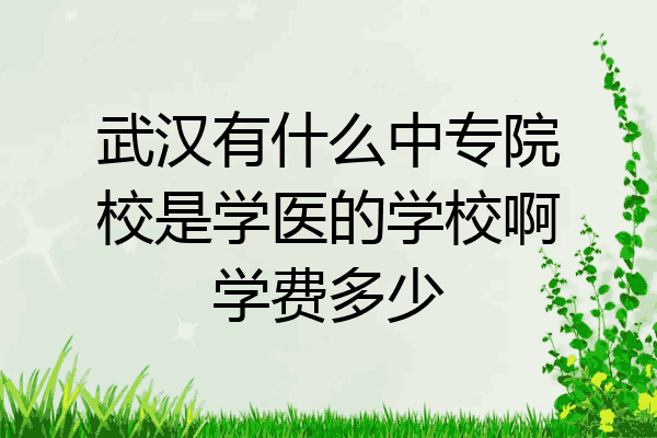 武汉有什么中专院校是学医的学校啊学费多少