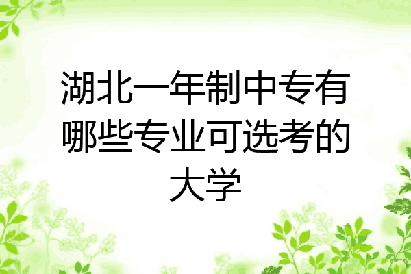 湖北一年制中专有哪些专业可选考的大学
