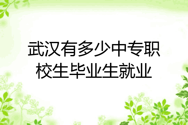武汉有多少中专职校生毕业生就业
