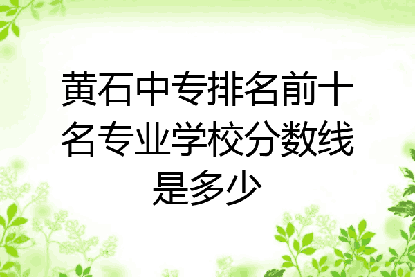 黄石中专排名前十名专业学校分数线是多少