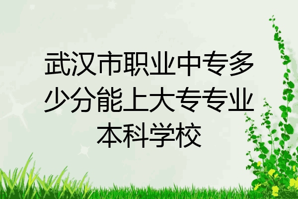 武汉市职业中专多少分能上大专专业本科学校